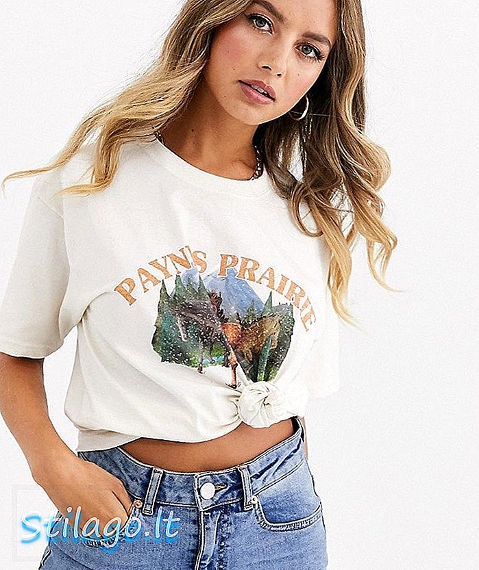 Daisy Street avslappet t-skjorte med vintage paynes prairie print-Beige