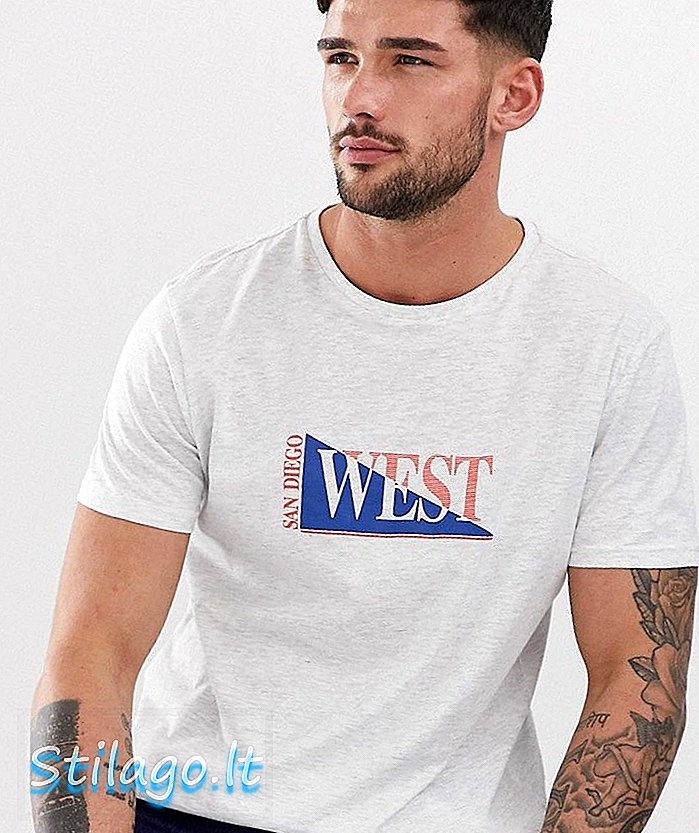 New Look lielgabarīta t-krekls ar Sandjego apdruku pelēkā krāsā