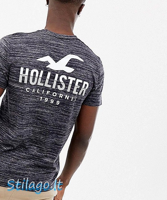 Hollister icon logo T-shirt med hals i halsen og bagtryk i grå struktur