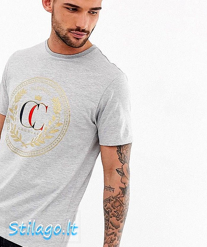 River Island t-shirt met geborduurd embleem in grijs