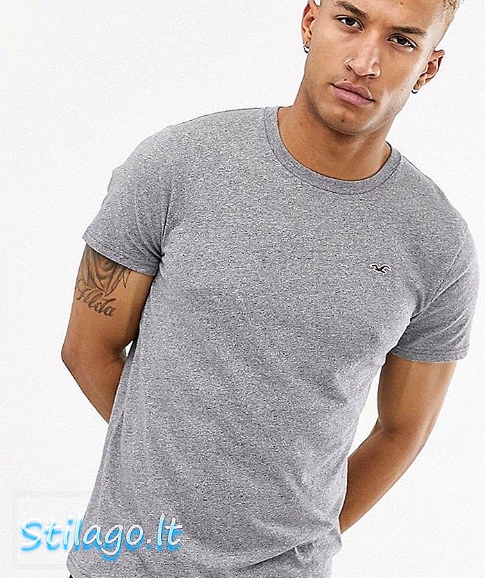 T-shirt con logo gabbiano girocollo Hollister grigia