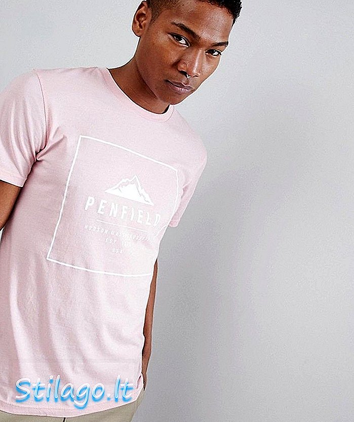 Penfield Alcala Box Logo T-Shirt in roze