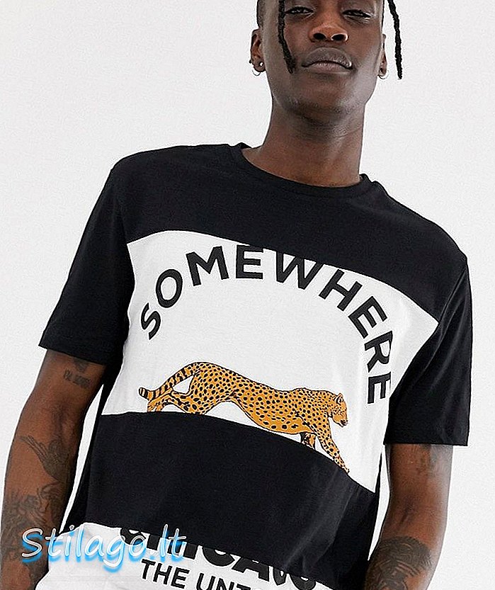 ASOS DESIGN спокойна тениска от органичен памук с цветни блокови панели и леопардов принт-Черен