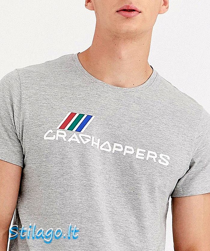 craghoppers Lowood t-paita-harmaa