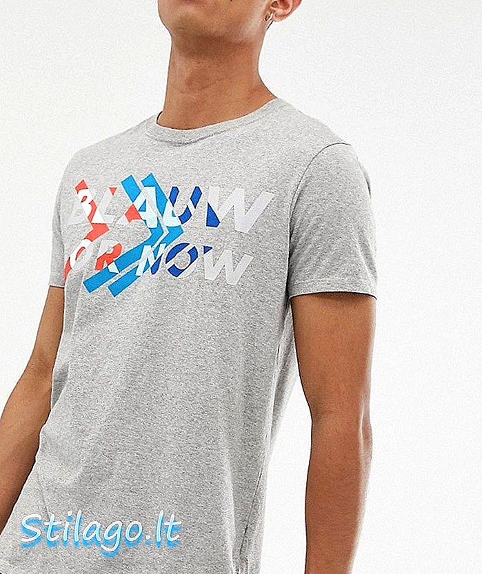 स्कॉच और सोडा ग्रे ग्राफिक प्रिंट टी-शर्ट