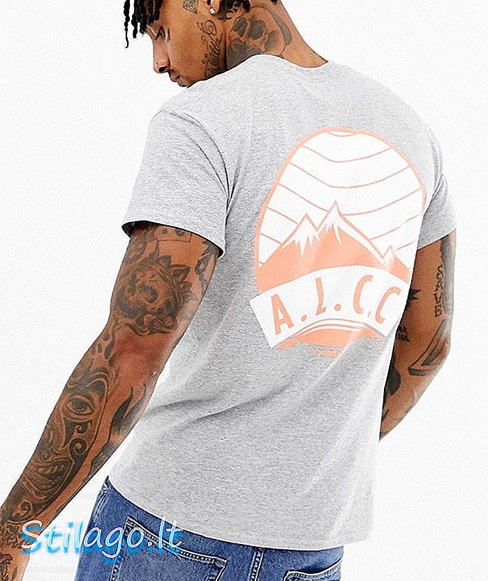 A London alpine back print t-shirt-Cinza