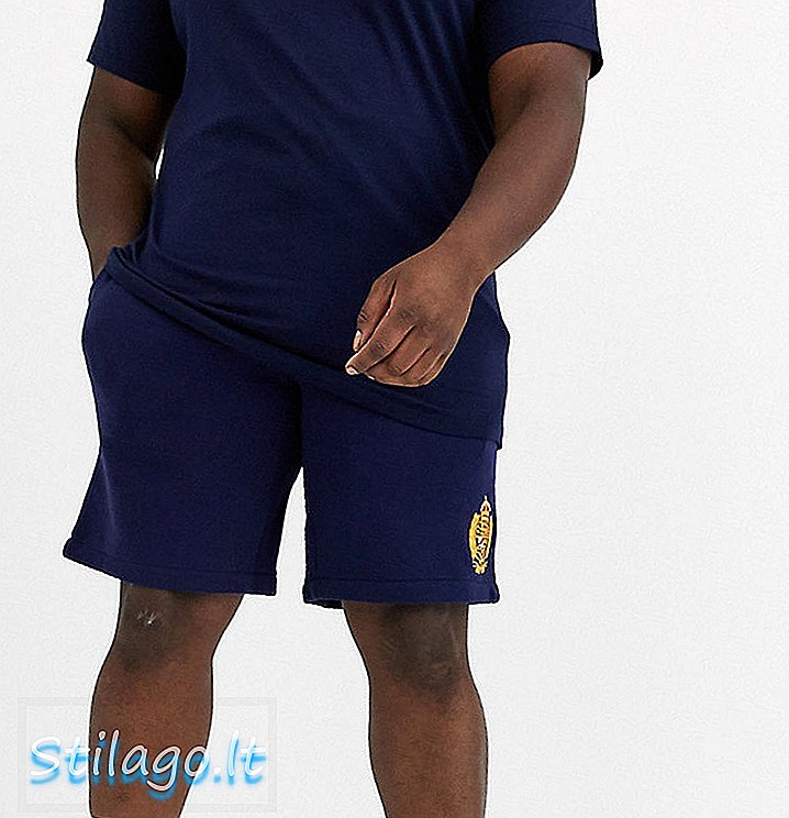 Das Polo Ralph Lauren Big & Tall Wappenlogo schneidet die Shorts in Navy ab