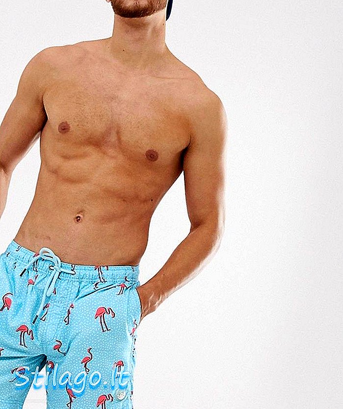 Muška odjeća Burton s kupaćim kostimima s flamingo printom u plavoj boji