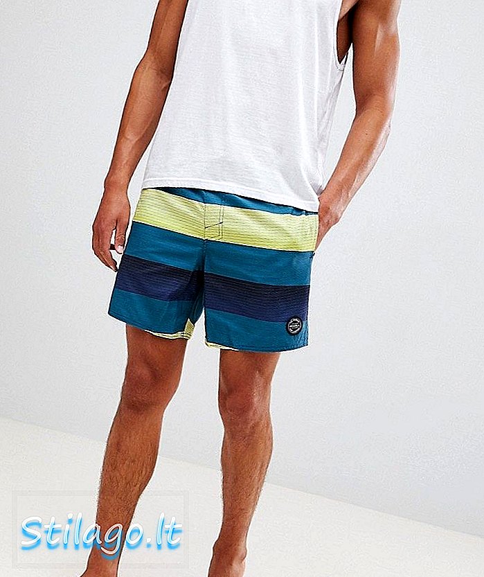 O'Neill Santa Cruz Stripe Shorts-Blue