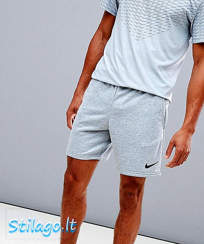 Nike Training Dry Hybrid Fleece Shorts i grå AO1416-063