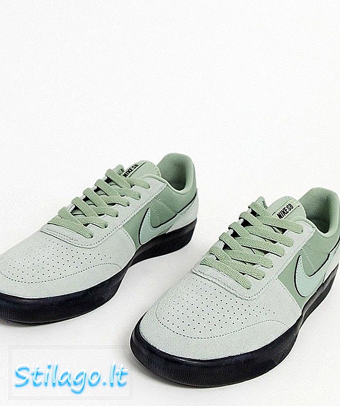 Scarpe da ginnastica Nike SB Team Classic in grigio
